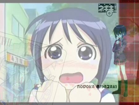 Shinobu de Love Hina et Nodoka de Negima!